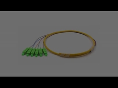 SC/APC 6 Cores Bundle Fan-out Fiber Optic Pigtail Single Mode 9/125um Yellow Jacket