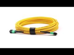 MPO/APC to MPO/APC 12Fibers Single Mode OS2 Jumper