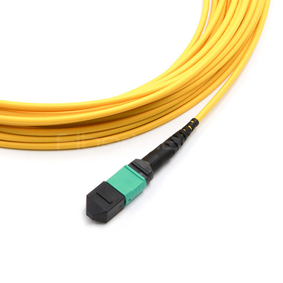 Data Center MPO Breakout Cable 12 Fibers With A 2.0mm Single Mode 9/125 OFNP Plenum