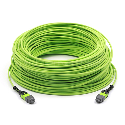 Datacenter MPO Trunk Cable Assembly 24 Fibers Polarity B OM5 OFNP Lime Jacket