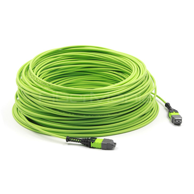 Datacenter MPO Trunk Cable Assembly 24 Fibers Polarity B OM5 OFNP Lime Jacket