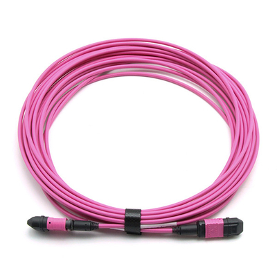 Male To Female MPO Trunk Cable Assembly 12 Fibers Polarity A OM4 OFNP Magenta Jacket
