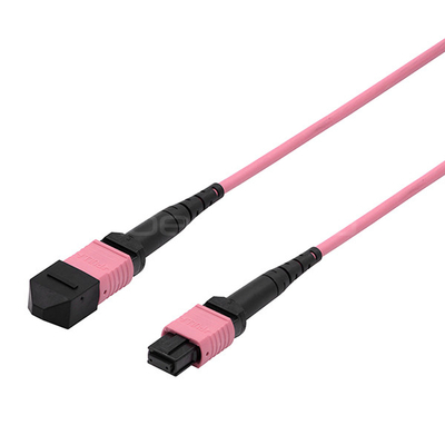 Customized MPO Solutions MPO Male to MPO Female Trunk Cable Assembly