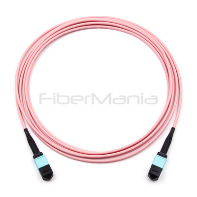 MPO Female to MPO Female Trunk Cable Assembly 12 Fibers Polarity A OM4 Pink Jacket