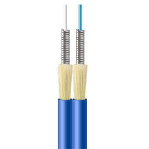 GJSFJBV Duplex Armored Fiber Optic Cable 2 Core For LAN Backbones