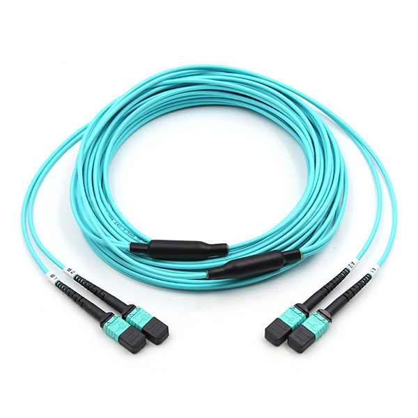 FiberMania Female to Female 2 x MPO Trunk Cable 24 Fibers OM3 OFNR Aqua Jack